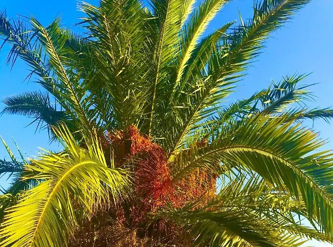 La Sabina *